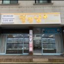 멍앤냥 강아지고양이 안양점 이미지