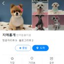 지애롭개 이미지