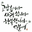 이백로 Daum카페