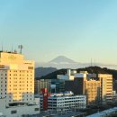 호텔 오레 | 시즈오카역 숙소 추천 눈 뜨면 후지산 보이는 가성비 1등 호텔 후기