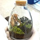 산울중학교 이미지