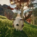 주식회사 나라펫 이미지