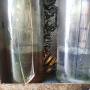 애니카랜드양산점 이미지