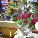 백중약국 이미지