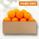오렌지 이미지