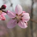 지남농장 이미지