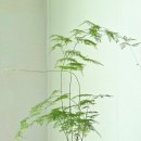 모퉁이옷방 - 구리시 장자대로13번길 81 | 모퉁이옷방