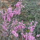 저수지상회 이미지