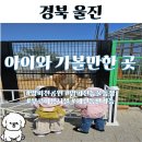 수산리농장 | 울진 아이랑 가볼만한곳 왕피천공원 동물농장 무료주차 총정리