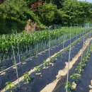 희진농장 이미지