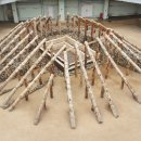 경주문화유산해설 이미지