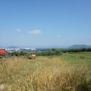 부동산1588공인중개사사무소 이미지