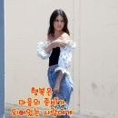 한강 하구 갯벌에서 [잘난 사람 영상 글] 이미지