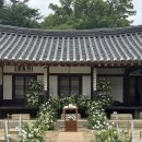 [Wedding EP. 22] 서계종택, 패브멜로우 아이폰 스냅 본식 촬영 후기
