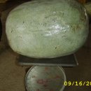 수호농장 이미지