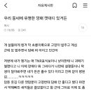 깡패 캣대디 올려치기하는 쉰시들 이미지
