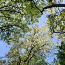 삼탄민박 | 삼탄유원지 쏠캠