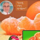 성실농장 이미지