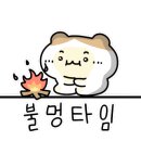 홍천불멍멍글램핑캠핑장