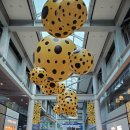 Howard Johnson Hotel Incheon Airport 이미지