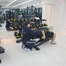 애룰바디 이미지