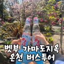 가마도지옥 온천, 엄마랑 후쿠오카 근교 벳부 버스투어 다녀온 후기