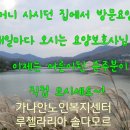 루첼라리아 네이버블로그