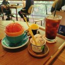 꽃수다 | 원주 소초면 카페 수다 꿀자몽 맛집 내돈내산 후기