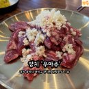 양지A | 🍖 양지 맛집, 우마주 런치스페셜 솔직후기!(내돈내산)