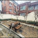 대구대남초등학교 이미지