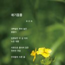 애기똥풀 이미지