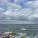 기장바다 이미지