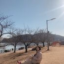 1박2일 경주여행/키덜트뮤지엄/스위트호텔/맷돌순두부/충효닭집/자동차박물관/여도가주/컵넛