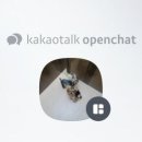 매일행복하개 이미지