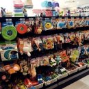 펫스토리 이미지