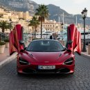 스마트홈 옥천점 | 야자수 풍경 작품벽지, 실패 없이 우리 집 휴양지로 만드는 법!