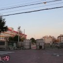 대구반야월초등학교 이미지