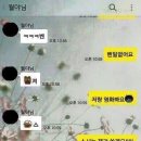 꼬시기 Daum카페
