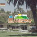 토리네민박 Daum카페