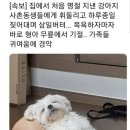 설렘 이미지