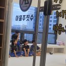 손주들의 주짓수 학원 이미지