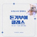 도치눈나 돈기부여 수강후기