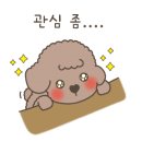 위드티쳐 네이버블로그