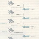 용전법인 이미지