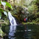 플렌티숲 이미지