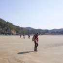 바라길 이미지
