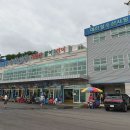 강원 고성 대진항 네이버블로그