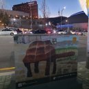 평강삼계탕 | 동대입구역 평강삼계탕 후기