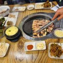 고기를 품은 사람들