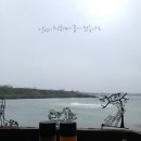 [ 제주도 ] 제주여행 3박4일_4일차